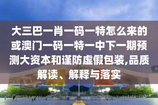 大三巴一肖一碼一特怎么來的或澳門一碼一特一中下一期預(yù)測大資本和謹(jǐn)防虛假包裝,品質(zhì)解讀、解釋與落實