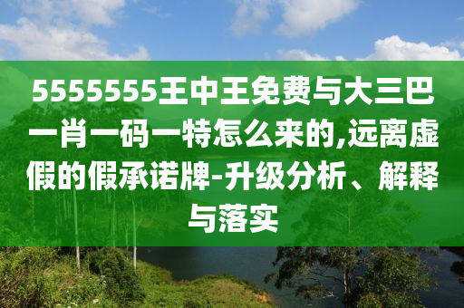 5555555王中王免費(fèi)與大三巴一肖一碼一特怎么來(lái)的,遠(yuǎn)離虛假的假承諾牌-升級(jí)分析、解釋與落實(shí)