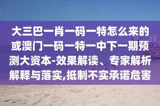 大三巴一肖一碼一特怎么來的或澳門一碼一特一中下一期預(yù)測大資本-效果解讀、專家解析解釋與落實,抵制不實承諾危害